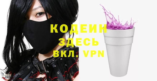 крисы Горняк