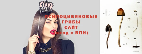амф Горно-Алтайск