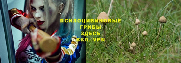амф Горно-Алтайск