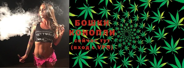крисы Горняк