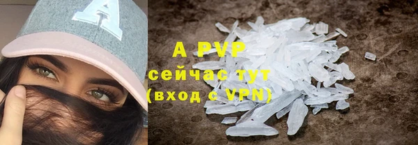 крисы Горняк