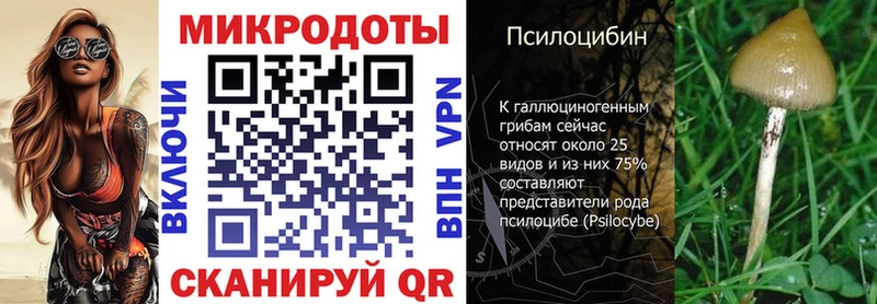Псилоцибиновые грибы Cubensis  Купить  Осинники 